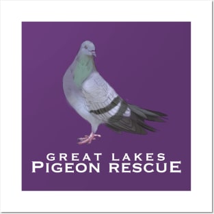 Great Lakes Pigeon Rescue Mascot - White Letters Posters and Art